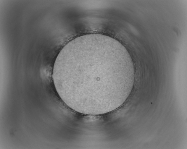 X0000112780672200908271705