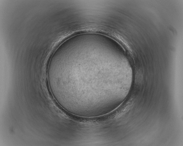 X0000112780673200908271704