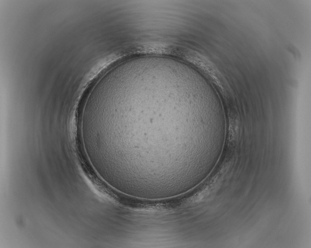 X0000112780674200908271704