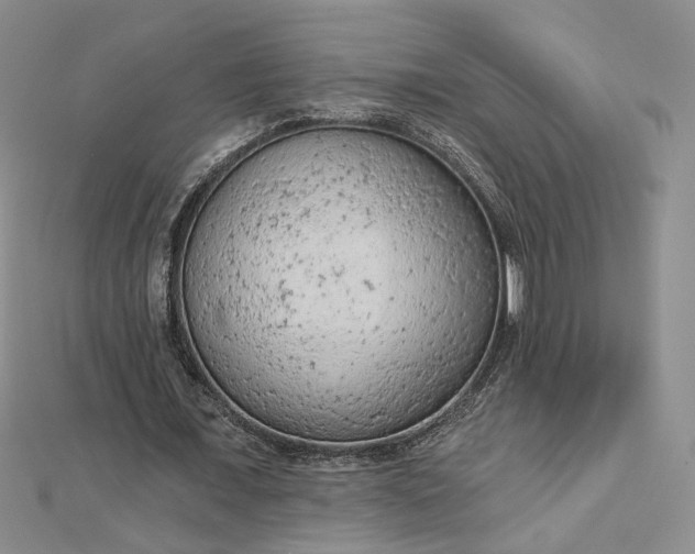 X0000112780675200908271704