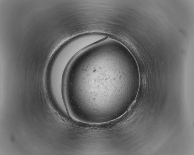 X0000112780676200908271704