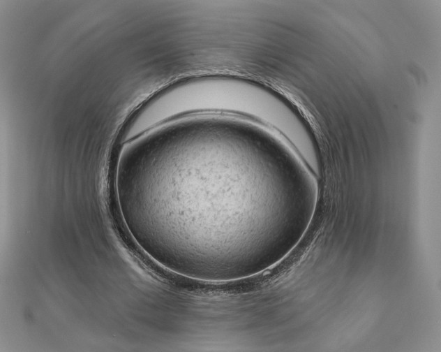 X0000112780677200908271704