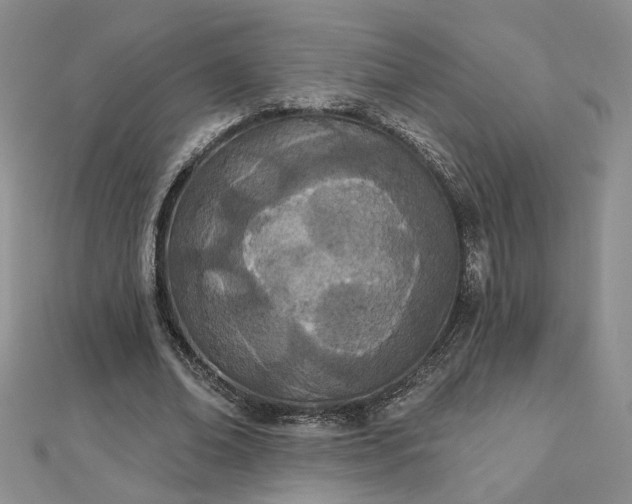 X0000112780678200908271704