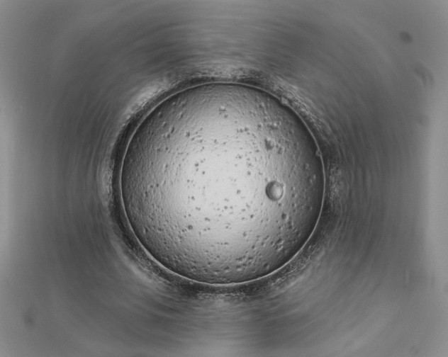 X0000112780679200908271704