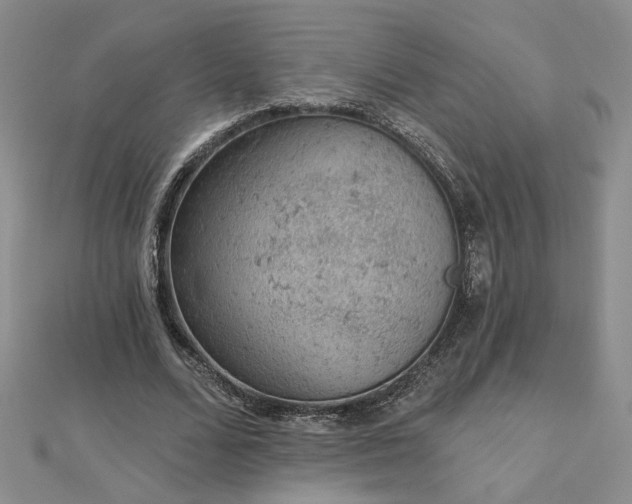 X0000112780680200908271704