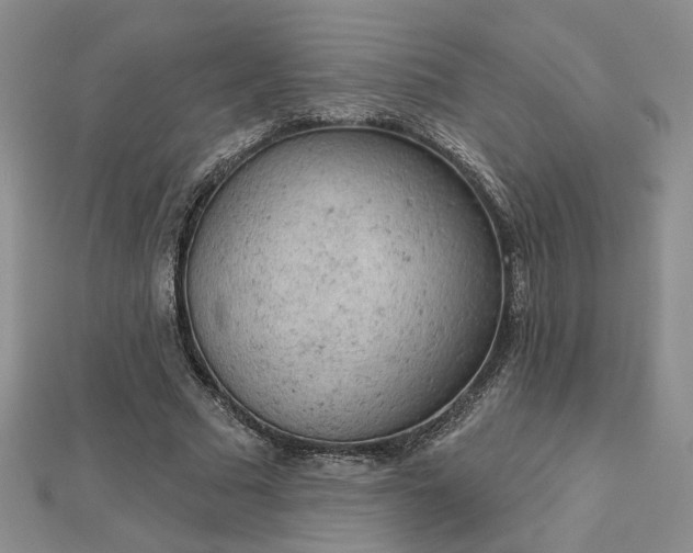 X0000112780681200908271704