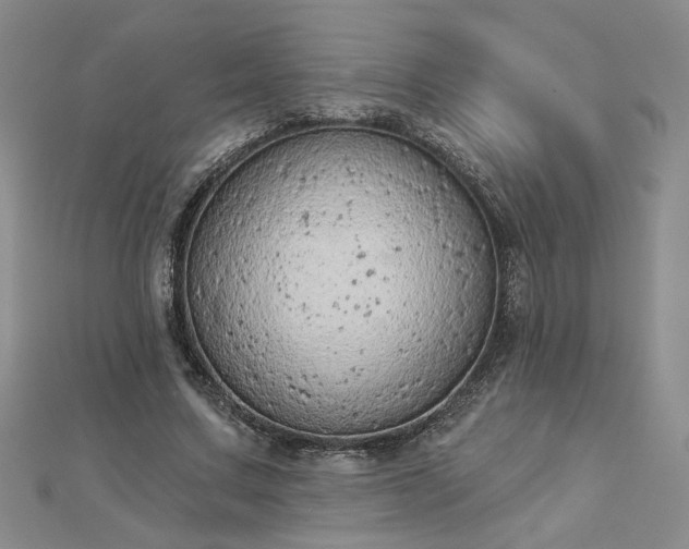 X0000112780683200908271704