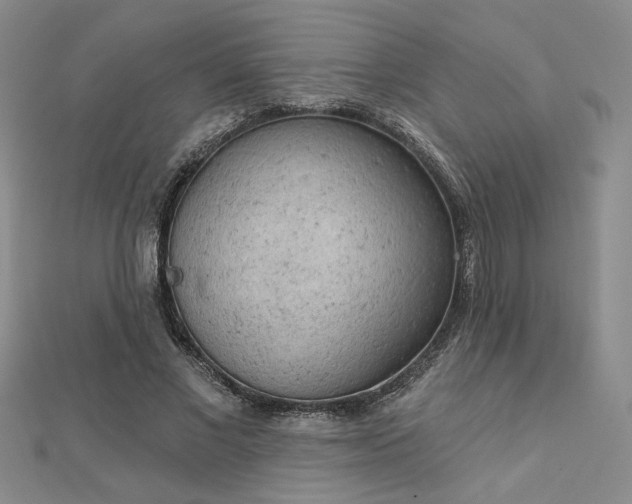 X0000112780685200908271704