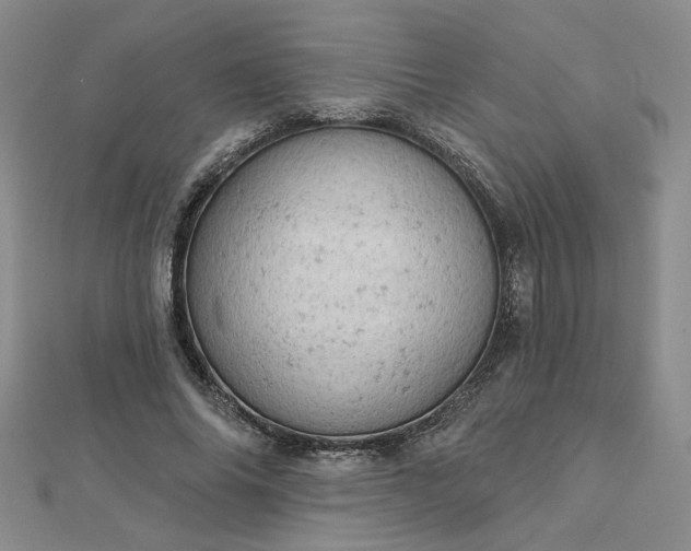 X0000112780686200908271704