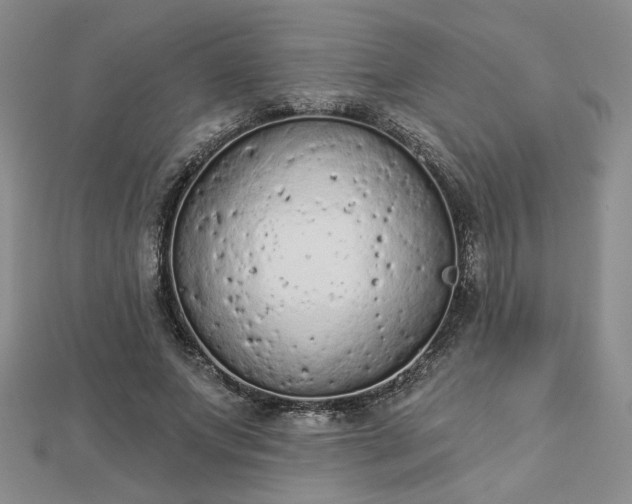 X0000112780687200908271704