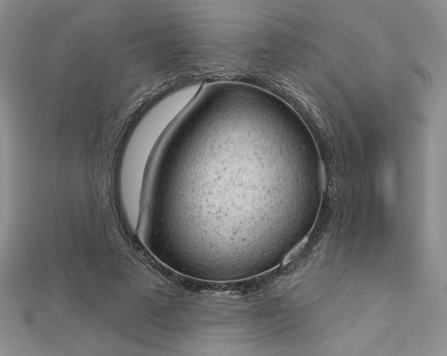 X0000112780689200908271704