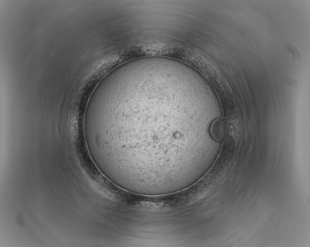 X0000112780690200908271704