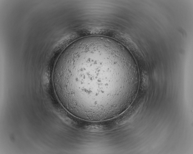 X0000112780691200908271704