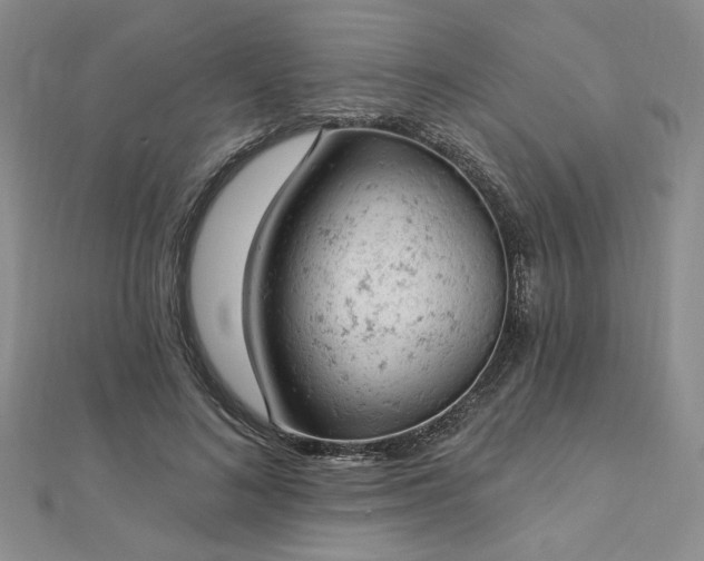 X0000112780692200908271704