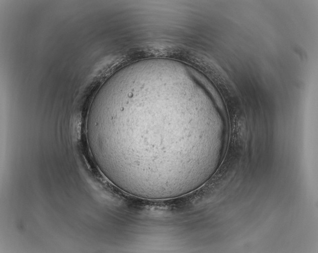 X0000112780694200908271704