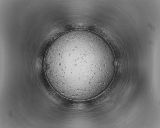 X0000112780695200908271704