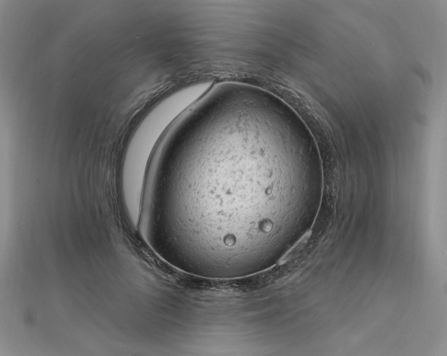 X0000112780696200908271704