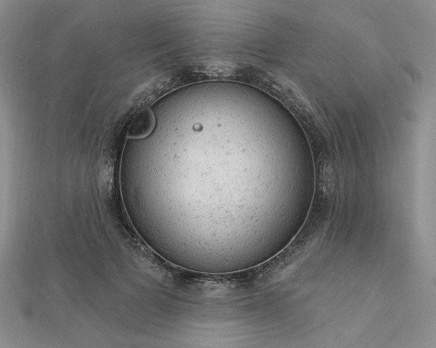 X0000112780697200908271704