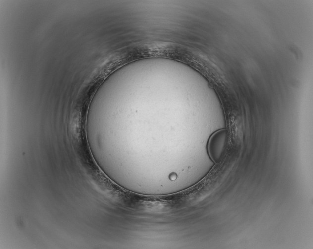 X0000112780698200908271704