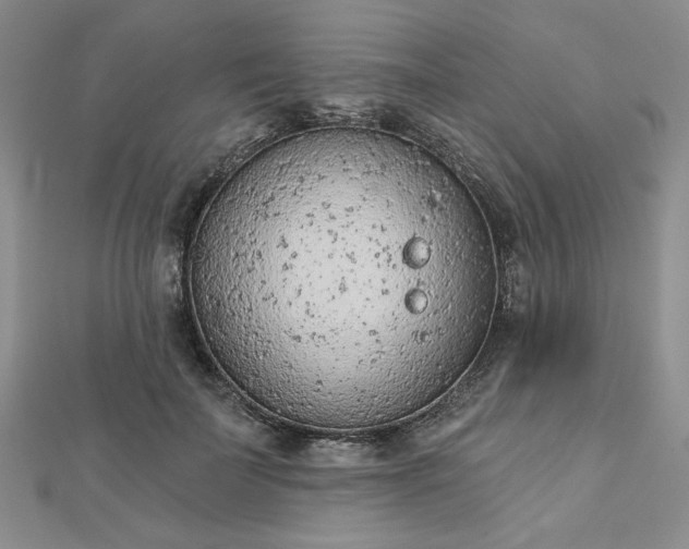 X0000112780699200908271704