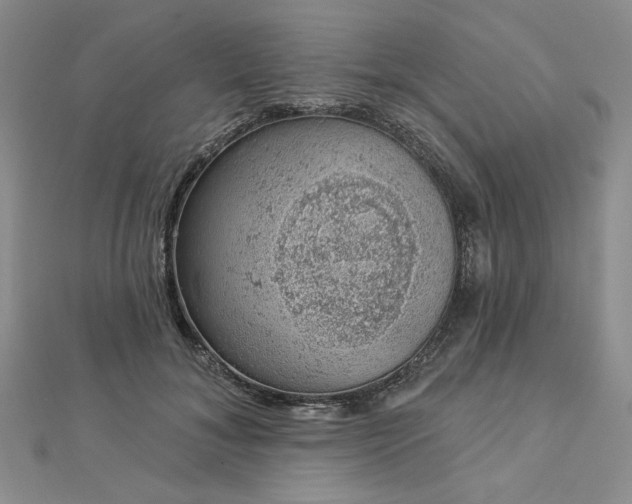 X0000112780700200908271704