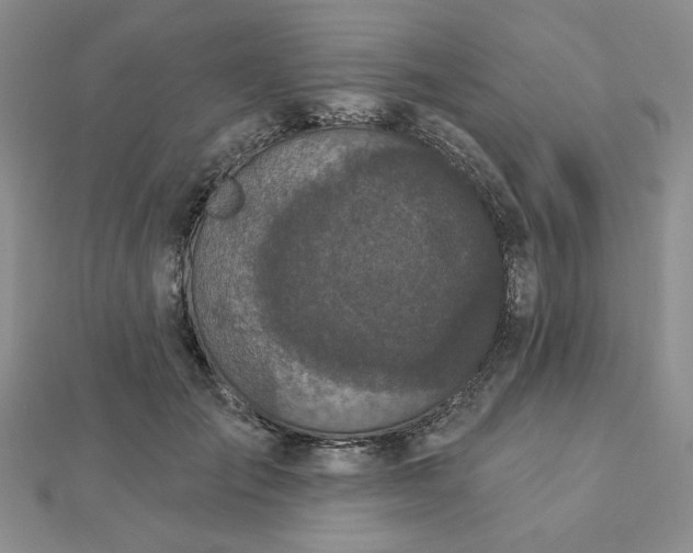 X0000112780701200908271704