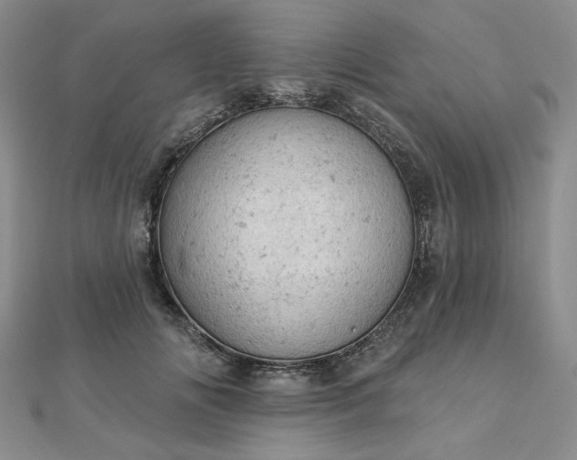 X0000112780702200908271704