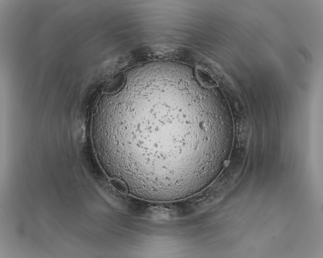 X0000112780703200908271704