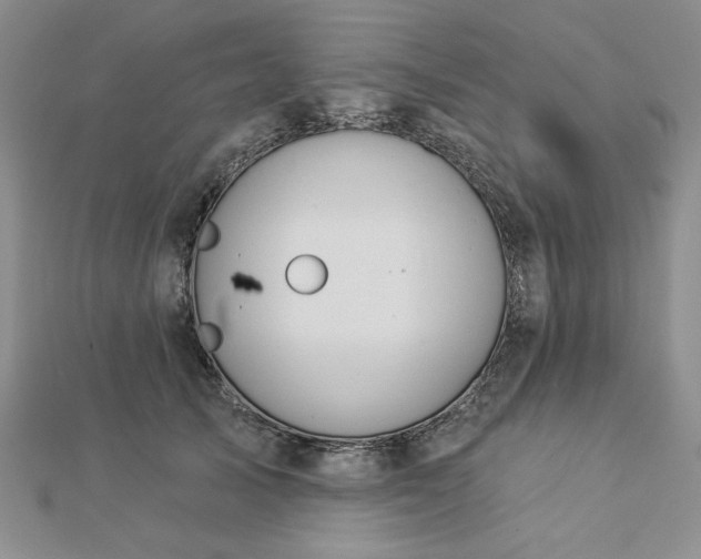 X0000112780705200908271704