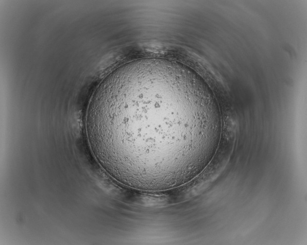 X0000112780707200908271704