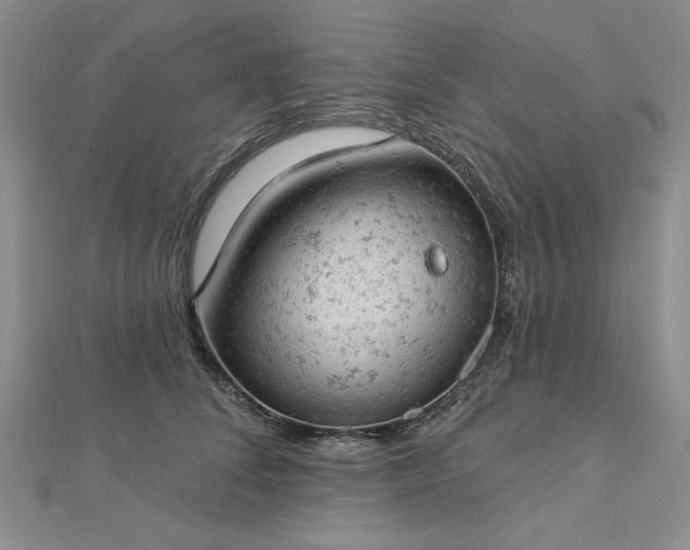 X0000112780708200908271704