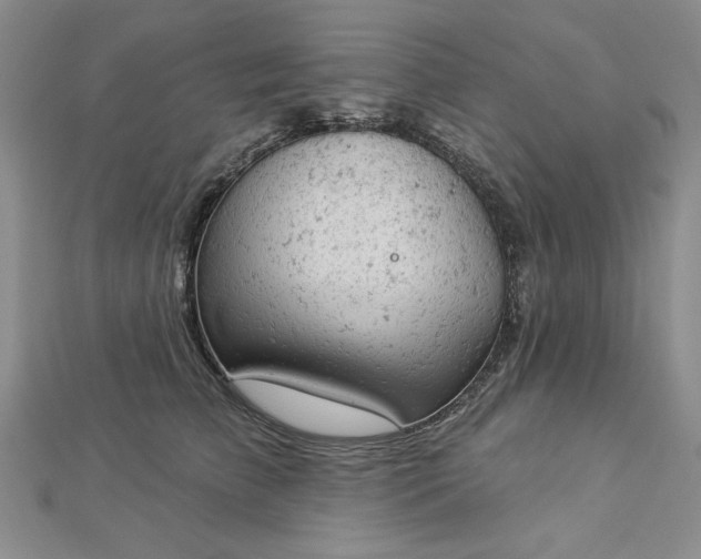 X0000112780709200908271704