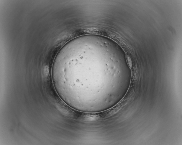 X0000112780711200908271704