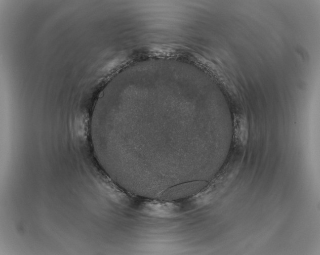 X0000112780712200908271704