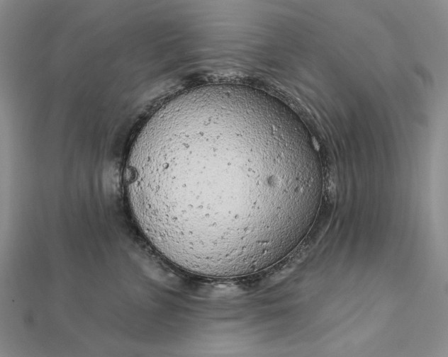 X0000112780715200908271704