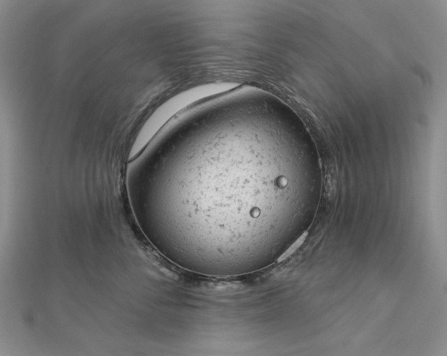 X0000112780716200908271703