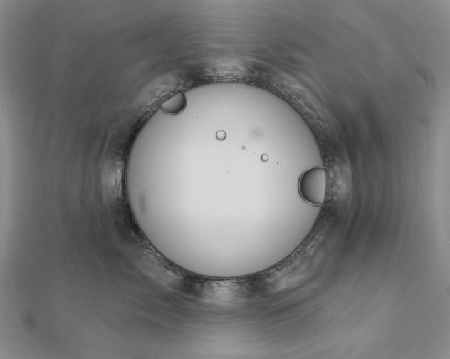 X0000112780717200908271703