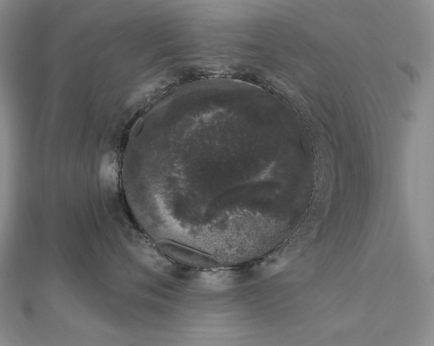 X0000112780720200908271703