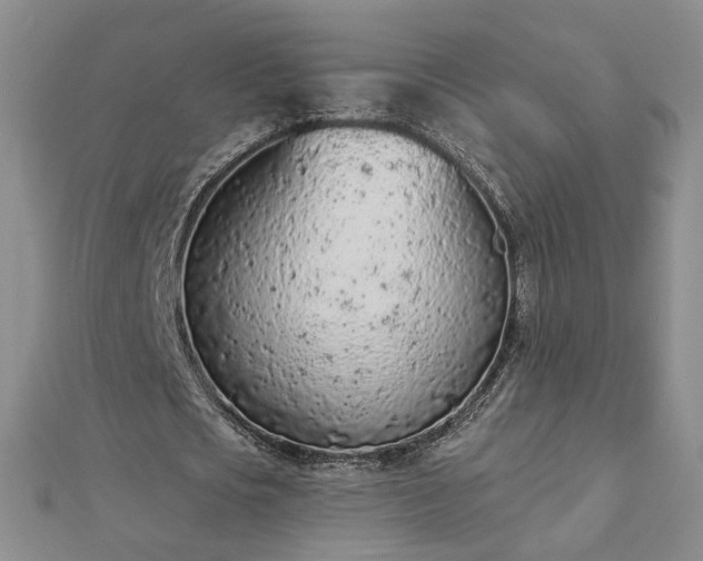 X0000112780721200908271703