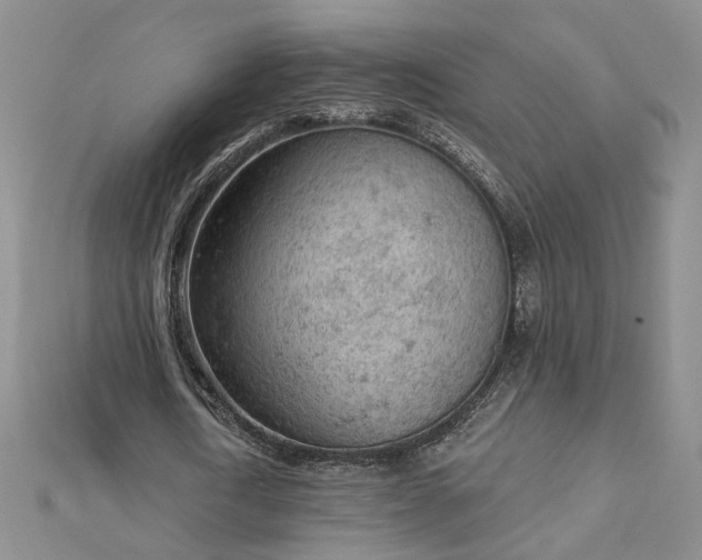 X0000112780722200908271703