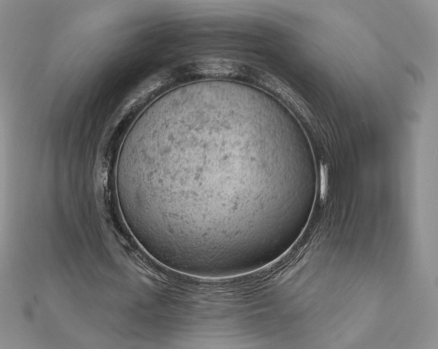 X0000112780723200908271703