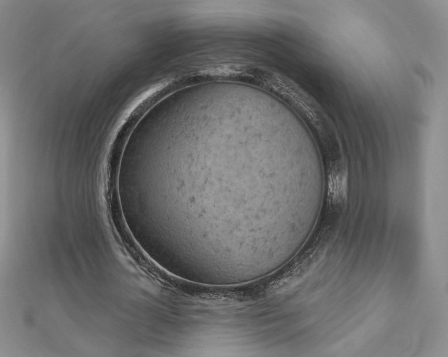 X0000112780724200908271703