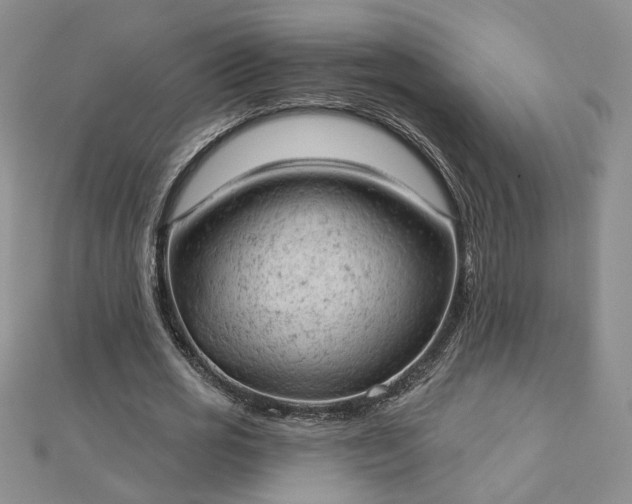 X0000112780725200908271703