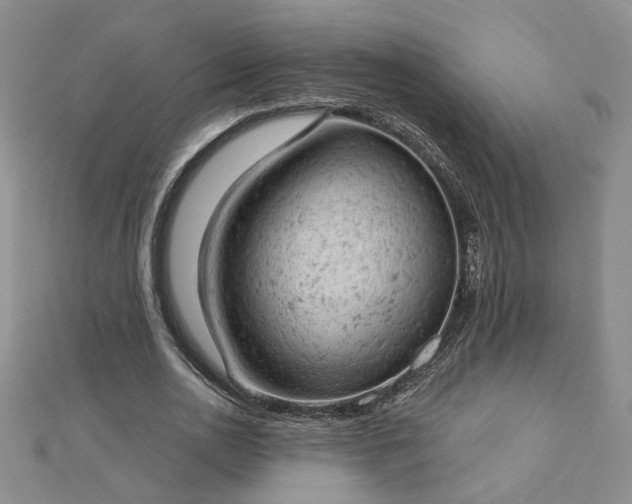 X0000112780726200908271703