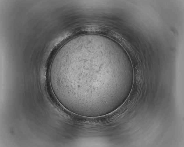 X0000112780727200908271703