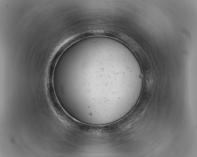 X0000112780728200908271703