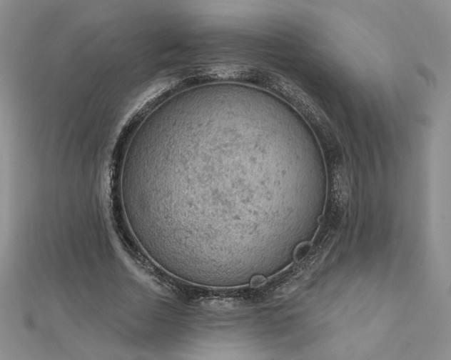 X0000112780730200908271703