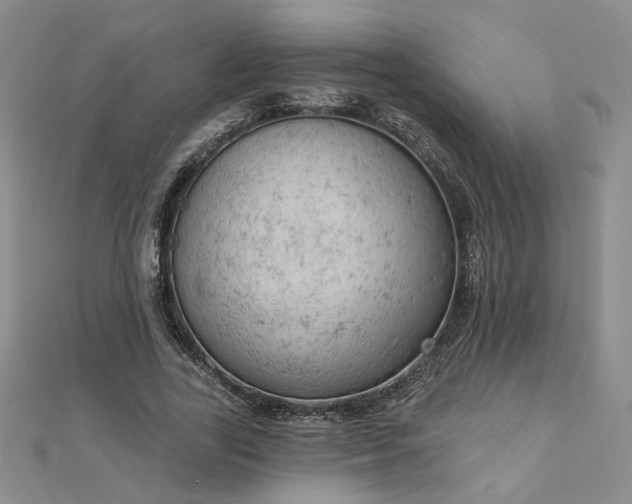 X0000112780731200908271703