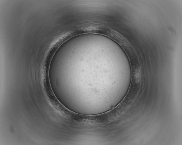 X0000112780732200908271703