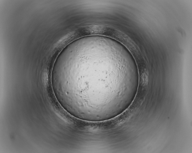 X0000112780733200908271703